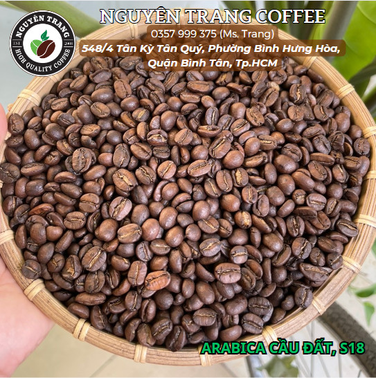 Khám Phá Cà Phê Arabica Và Robusta – Chúng Là Gì Và Lý Do Quan Trọng
