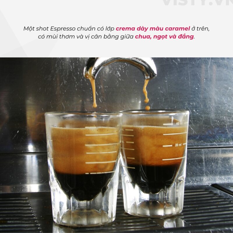 Ly Espresso Tiêu Chuẩn – Hướng Dẫn Toàn Diện Cho Người Yêu Cà Phê
