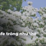 09a5d909ada6d140575ea20ecd537fbdiIbisQ