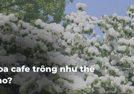 09a5d909ada6d140575ea20ecd537fbdiIbisQ