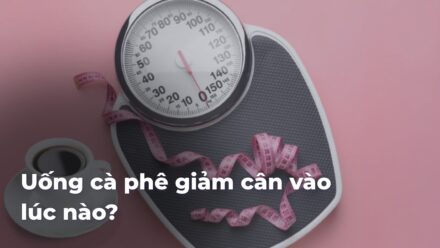 45d85b5738823a3f933cc360ca536a1duFb7jD