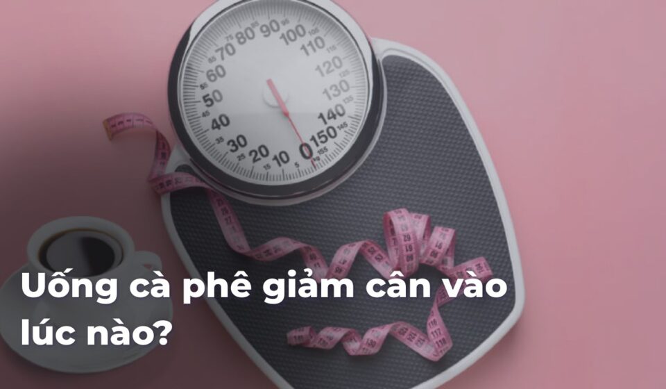 45d85b5738823a3f933cc360ca536a1duFb7jD