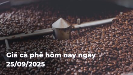 4e55530c25ede3f6d6bdb99abaab58f0OitsrQ