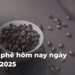 6080eeea426d9a10801082f38604e32bIuxSAE