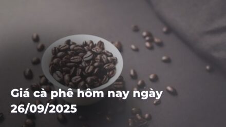 6080eeea426d9a10801082f38604e32bIuxSAE