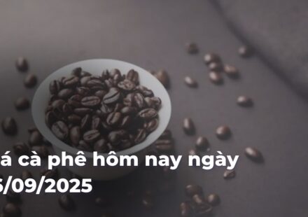 6080eeea426d9a10801082f38604e32bIuxSAE