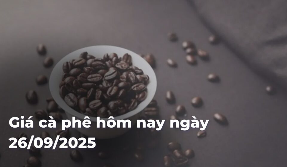 6080eeea426d9a10801082f38604e32bIuxSAE