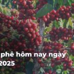 73af7a7f4d27226b5a3e1af31a3d816aJxzaLx