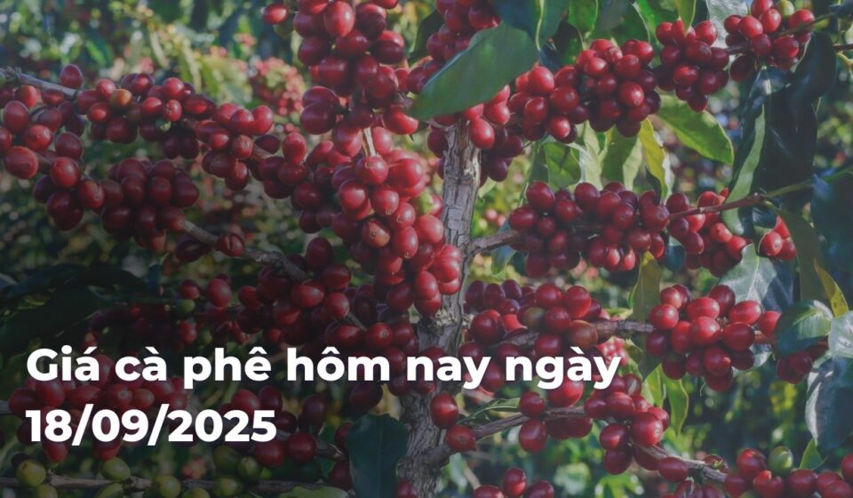 73af7a7f4d27226b5a3e1af31a3d816aJxzaLx