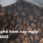 8050b9fa8df756c8ec9f68581afa488aZvvSK6