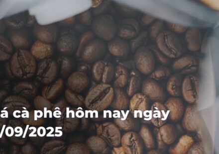 8050b9fa8df756c8ec9f68581afa488aZvvSK6