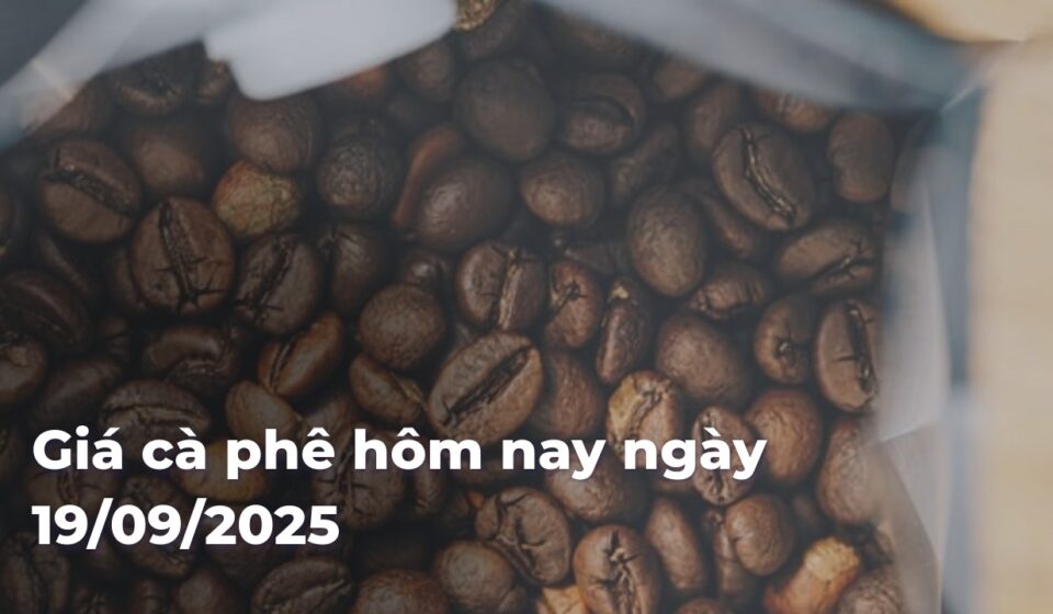 8050b9fa8df756c8ec9f68581afa488aZvvSK6