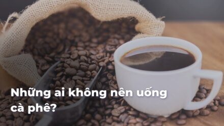 87bf4b7842bfed5d4acca64afc8951depByglh