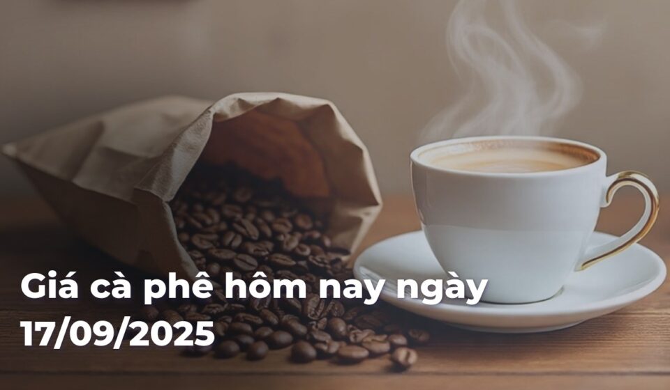 Giá cà phê hôm nay ngày 17 tháng 9 năm 2025 Giá cà phê hôm nay ngày 17:09:2025