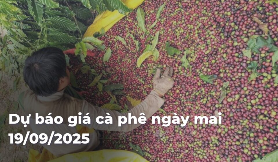 a1bb42be26b971d8f33ccdbd3ba1f38d32MwOI