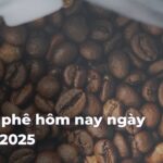 c61c45a030432f103cbe5dee00b6a0bc7y6OSl