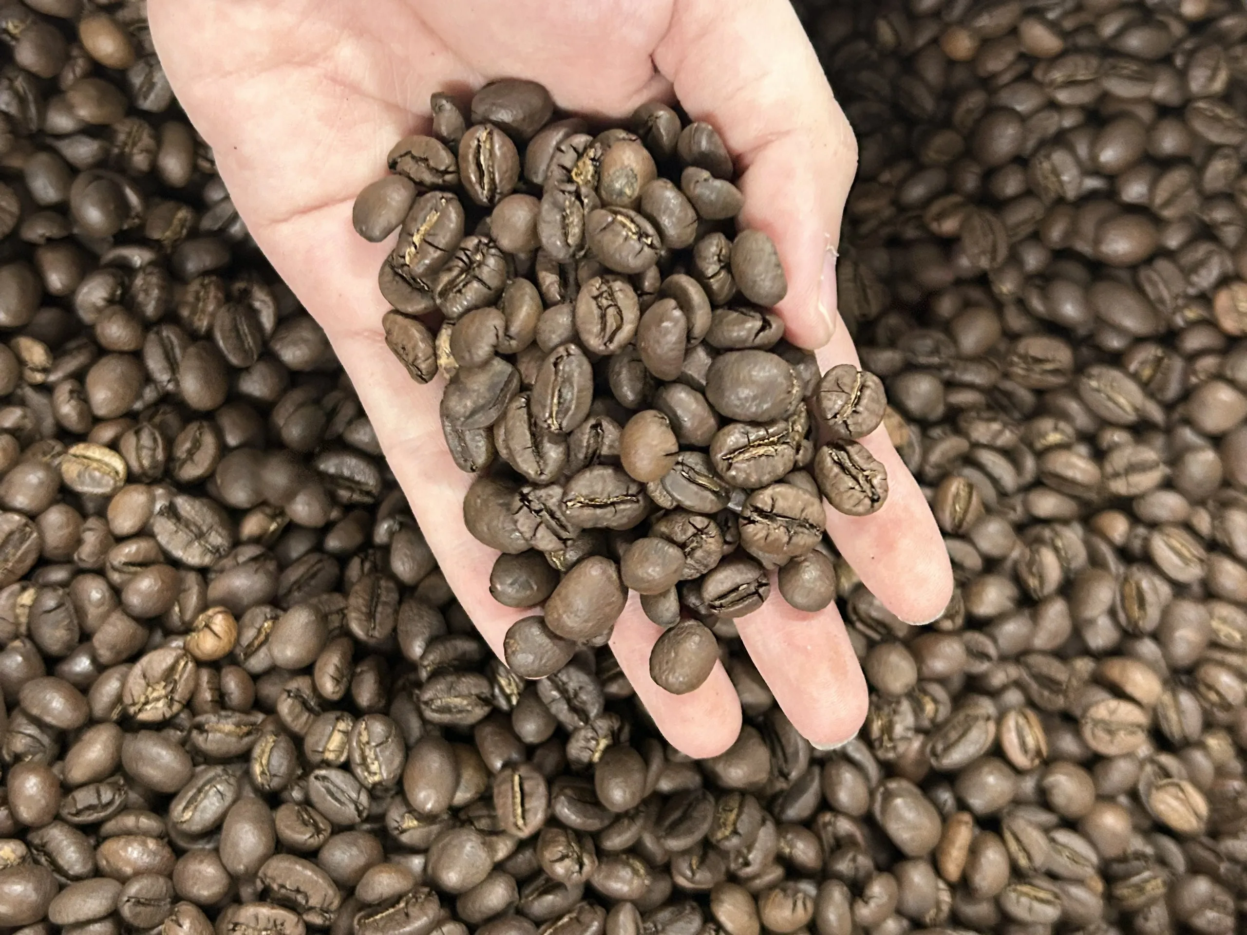 ca phe rang moc 1zNH7RN