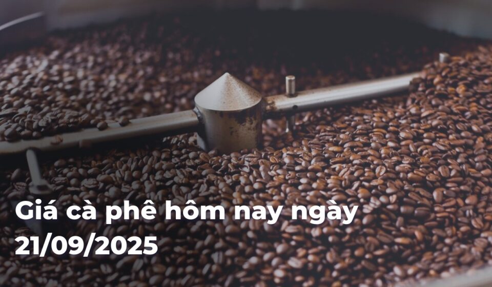 cb630baf5eac43c09bbb3826d3f58523570kkL