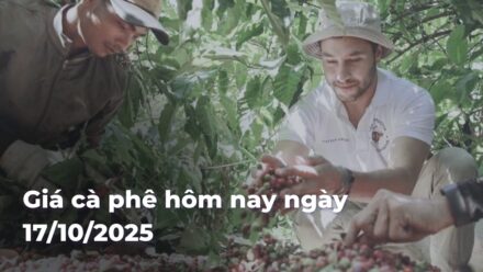 0a1ea92aefe473342b038becca226081gdSYBR