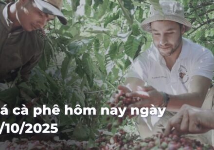 0a1ea92aefe473342b038becca226081gdSYBR