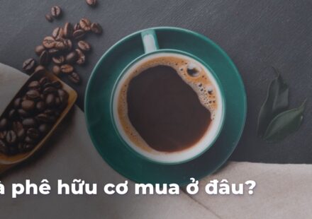 1aaaee009602fea4c8bd7f576f19b354YS00Dz