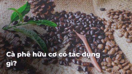 2df5196a8187773313cbf7ee4c95eae6Fn4KFU