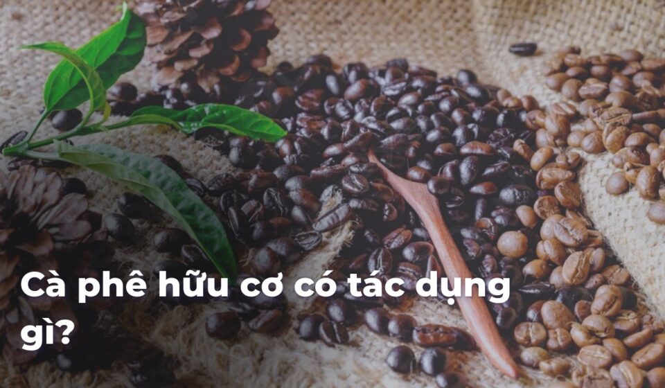Cà phê hữu cơ có tác dụng gì? 2df5196a8187773313cbf7ee4c95eae6Fn4KFU