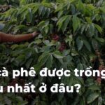43a425cf709a8c80d9de344151afe00fJ0346e