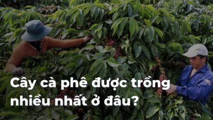 43a425cf709a8c80d9de344151afe00fJ0346e