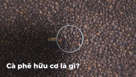 44dd84620267002d56aa280e96b321aeGsigug