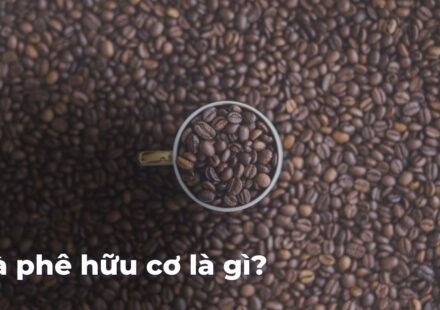 44dd84620267002d56aa280e96b321aeGsigug