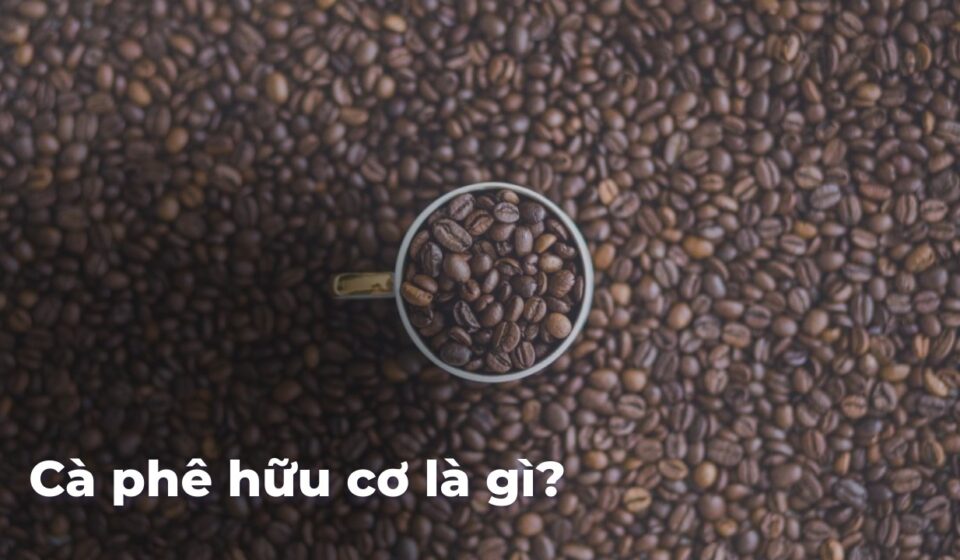 Cà phê hữu cơ là gì? 44dd84620267002d56aa280e96b321aeGsigug