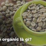 Uống cà phê nhiều có tốt không? 714e71beb06dc10c0812935337928d20Y83tbP