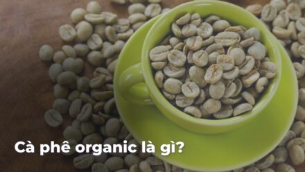 714e71beb06dc10c0812935337928d20Y83tbP