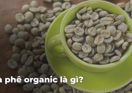 714e71beb06dc10c0812935337928d20Y83tbP