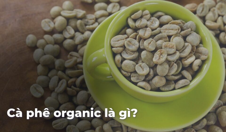 714e71beb06dc10c0812935337928d20Y83tbP