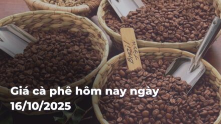 87bb55663ef115ead1bdd9932b8bf9a9X4HvQt