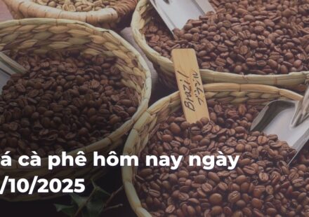 87bb55663ef115ead1bdd9932b8bf9a9X4HvQt