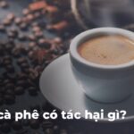 ad04eace3c664be147994ae8e96a60c2gBBBGX