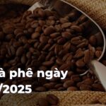 b9add1acca98ecbba2fedf392d549b96qtHIDG