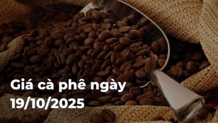 b9add1acca98ecbba2fedf392d549b96qtHIDG