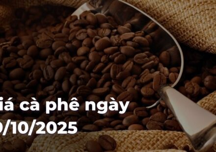 b9add1acca98ecbba2fedf392d549b96qtHIDG