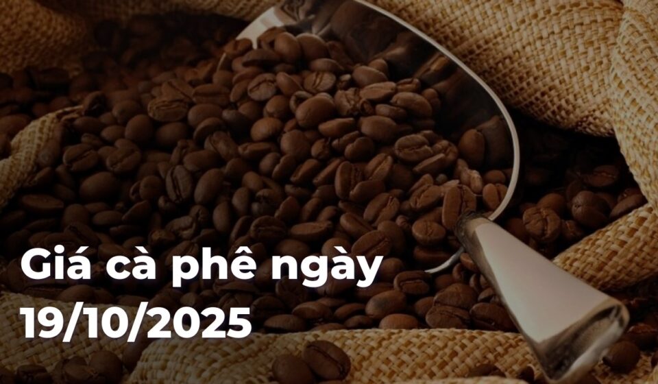 Giá cà phê ngày 19/10/2025 b9add1acca98ecbba2fedf392d549b96qtHIDG