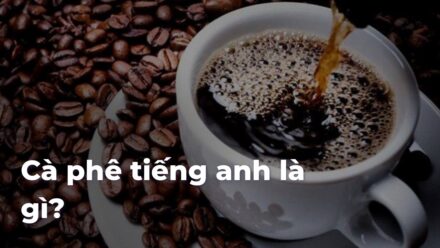 c79ddbae4ce981c44380f6f25bede1f1KLaelR