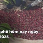 db427dea39e8724af7b7248f9e171f469z8R6T