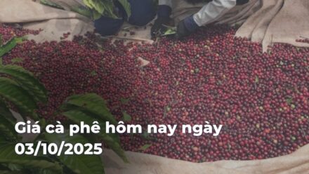 db427dea39e8724af7b7248f9e171f469z8R6T