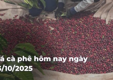 db427dea39e8724af7b7248f9e171f469z8R6T