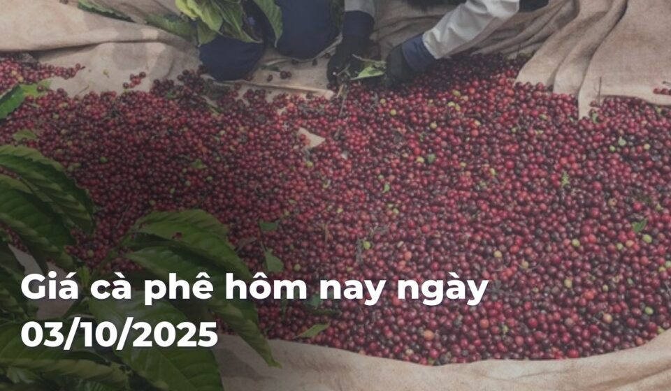 db427dea39e8724af7b7248f9e171f469z8R6T