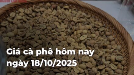 dbd6f365a9cfde04f9c25a868cad8ddfi9CsXK