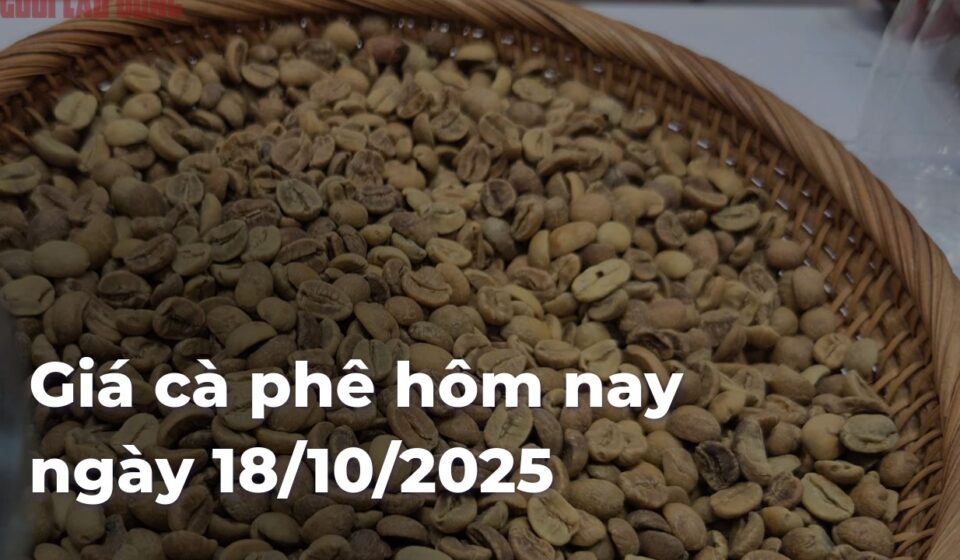 Giá cà phê hôm nay ngày 18/10/2025 dbd6f365a9cfde04f9c25a868cad8ddfi9CsXK